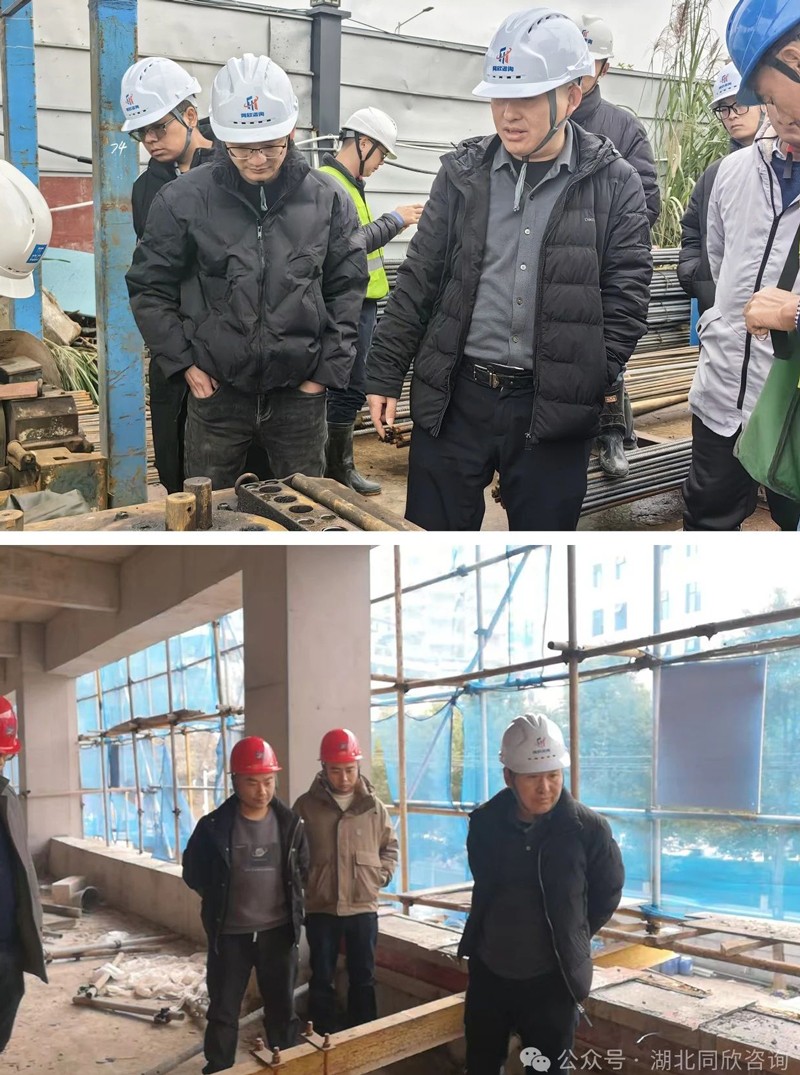 龙腾祥云如彩排 山舞银蛇待梅开 - 365英国上市〔www.iTongxin.cn〕